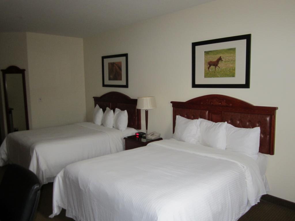Trend Mountain Hotel & Conference Centre Tumbler Ridge Kamer foto