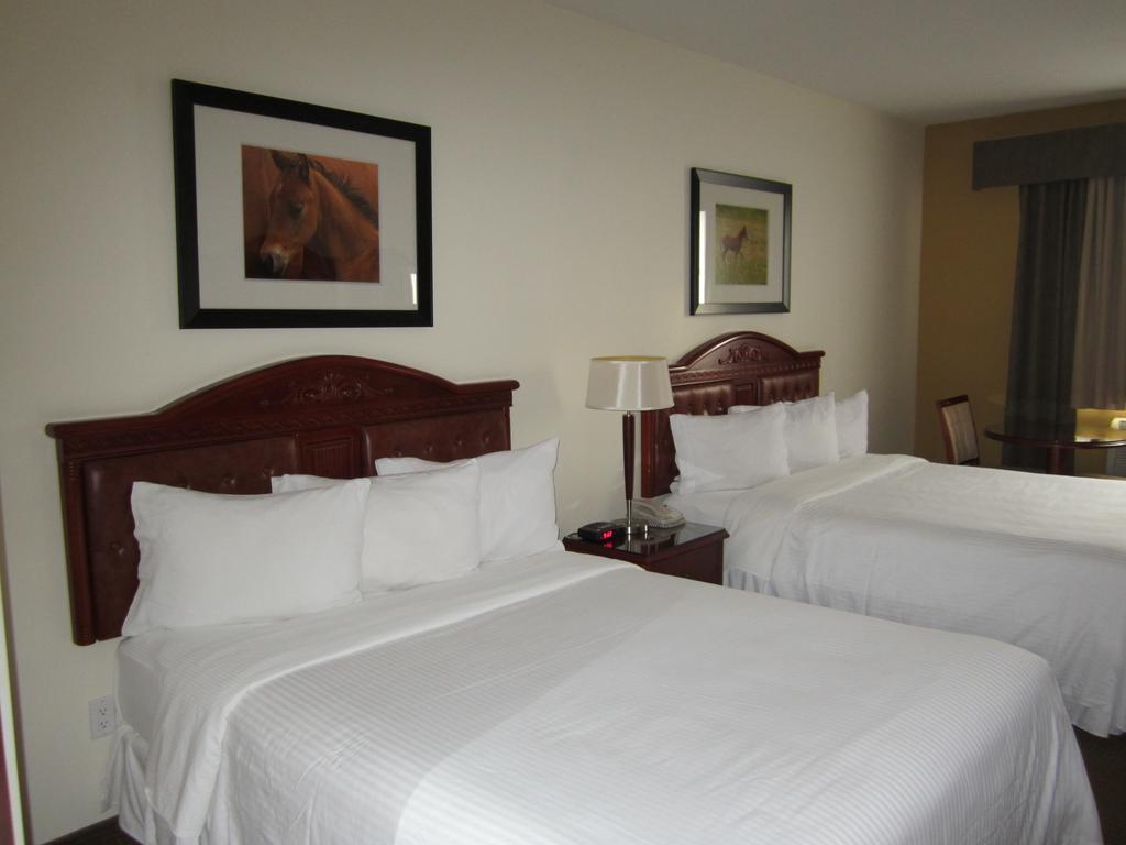 Trend Mountain Hotel & Conference Centre Tumbler Ridge Kamer foto